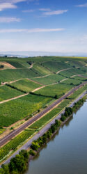 Panorama der Weinlagen Nierstein Pettenthal mit dem Rhein am rechten Bildrand