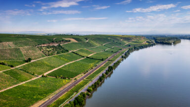 Panorama der Weinlagen Nierstein Pettenthal mit dem Rhein am rechten Bildrand